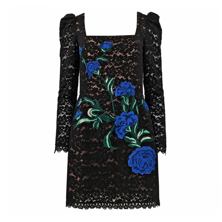 Sam Long Sleeve Embroidered Lace Mini Dress
