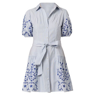 Danika Short Sleeve Belted Mini Dress