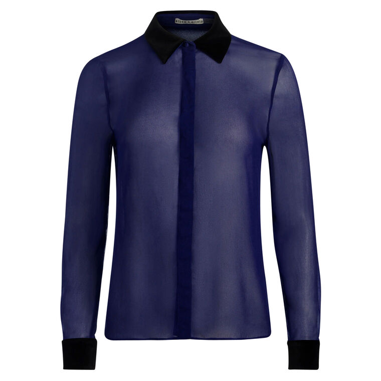 Willa Combo Placket Long Sleeve Sheer Blouse image number null