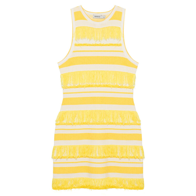 Elly Sleeveless Knit Stripe Mini Dress With Fringe image number null