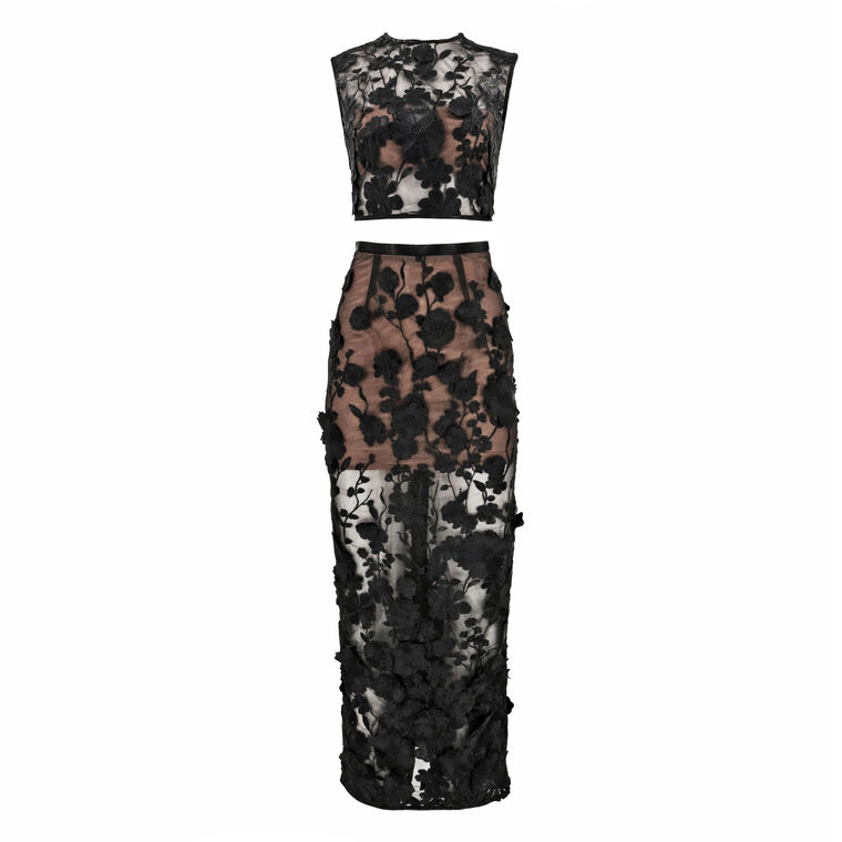 Jasmine Lace Crop Top And Skirt Set image number null