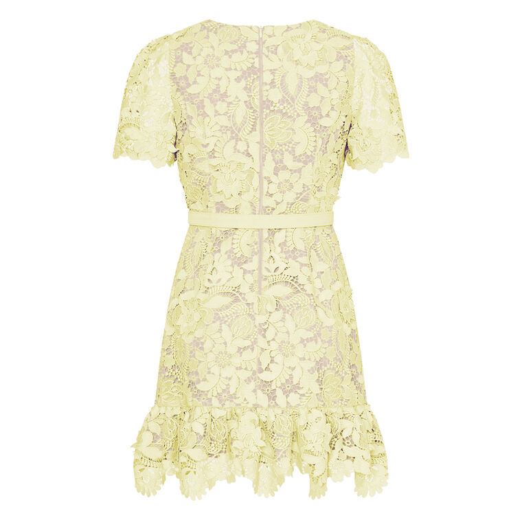 3D Garden Lace Short Sleeve Mini Dress image number null