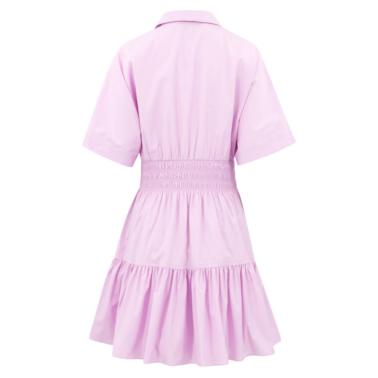 Greta Smocked Dress With Collar image number null