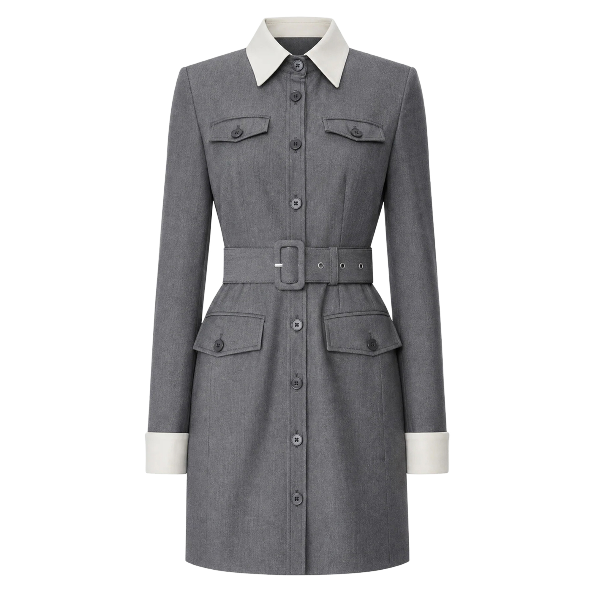 Valerie Collared Button-Front Dress
