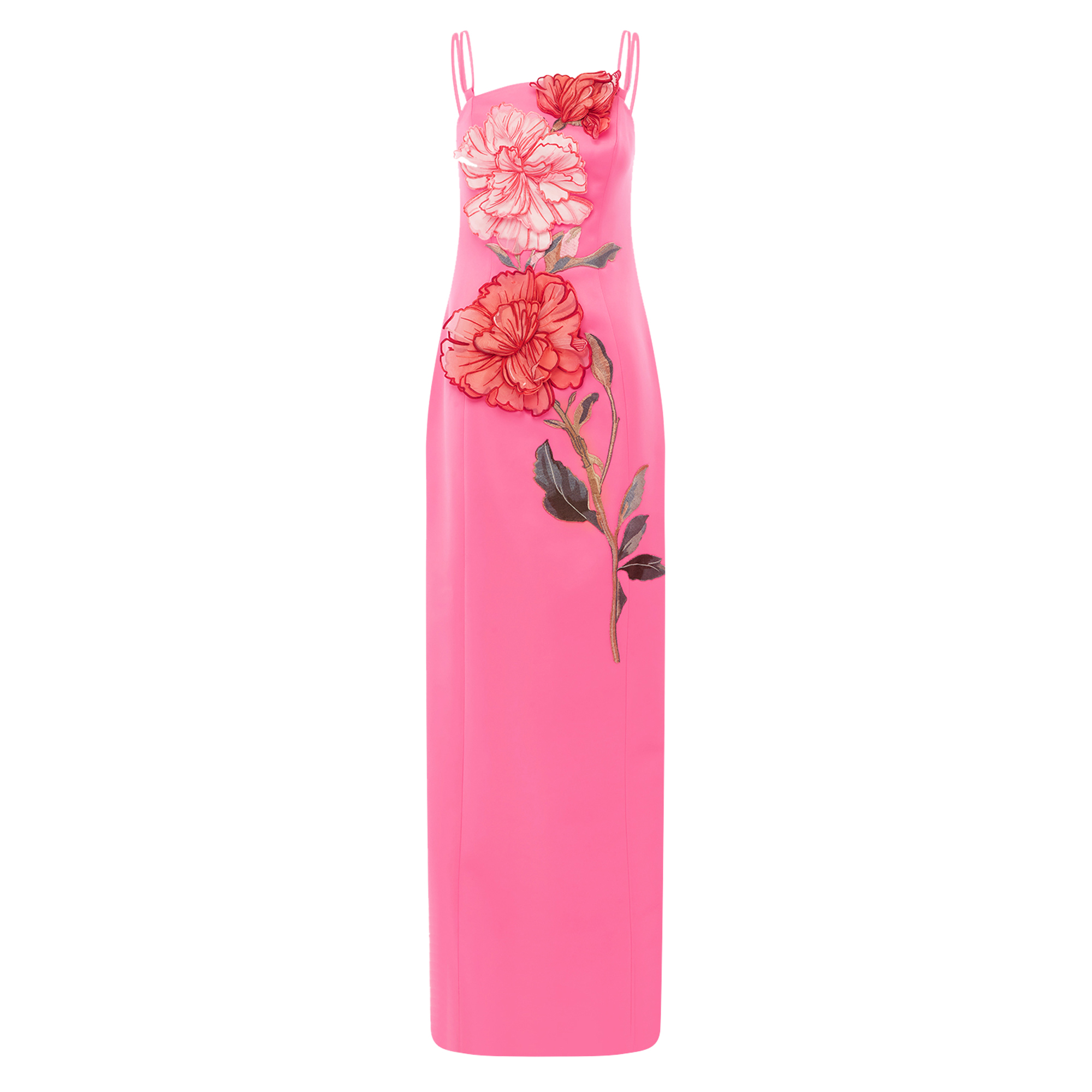 Arianna Sleeveless Applique Floral Maxi Dress