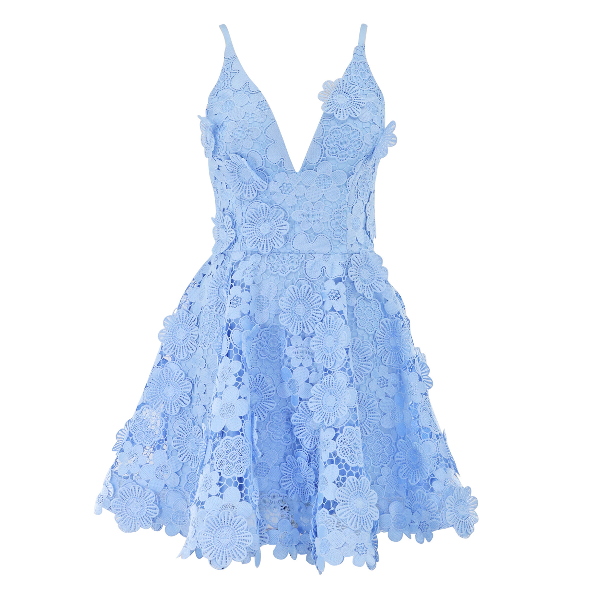 Blake Sleeveless Plunging Neckline Floral Lace Mini Dress