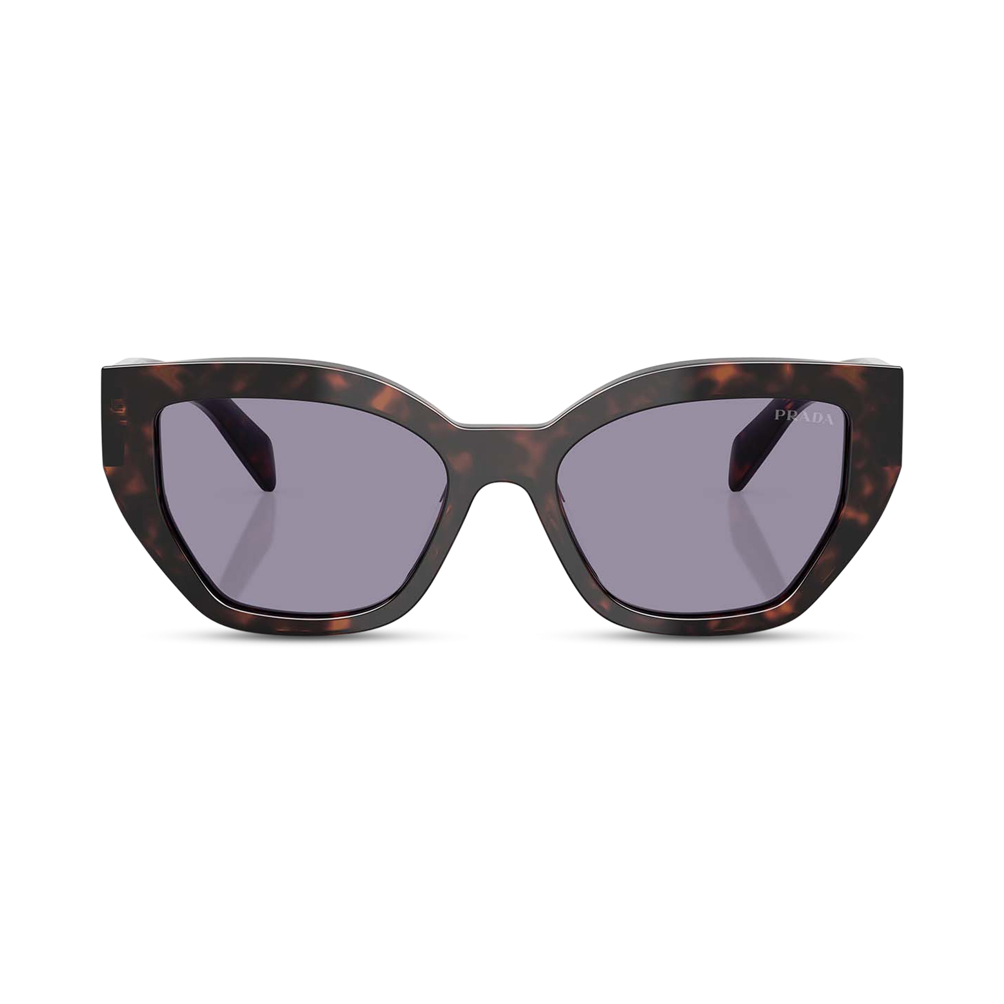 Cat-Eye Acetate Sunglasses