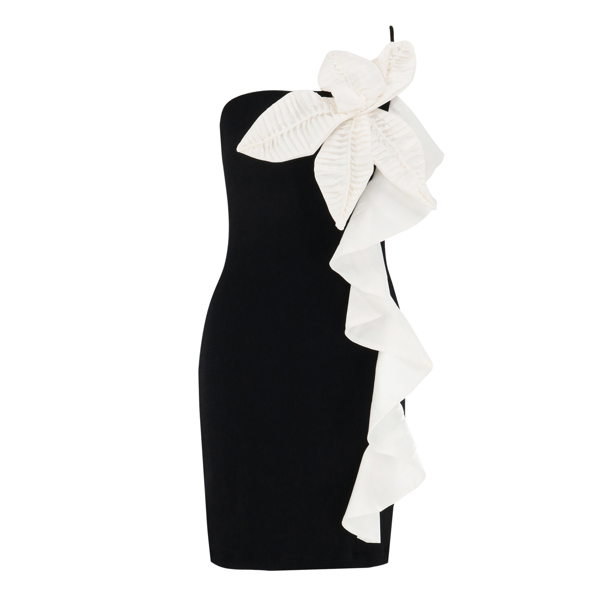 Taffeta Tarsila Mini Dress