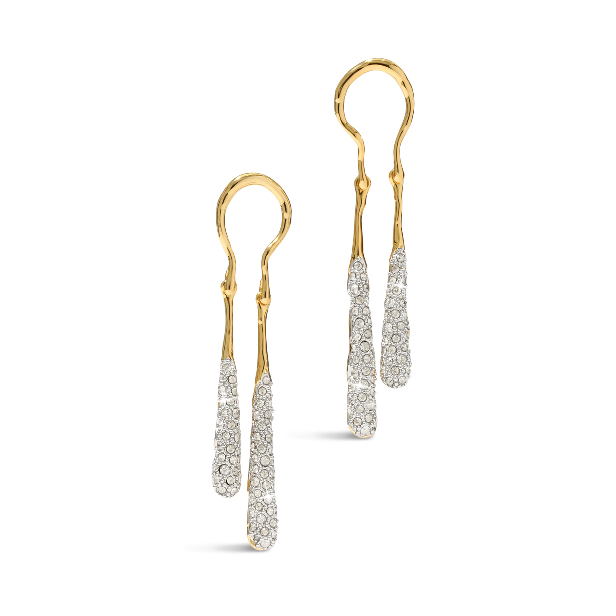 Solanales Coiled Tear Drop Earrings