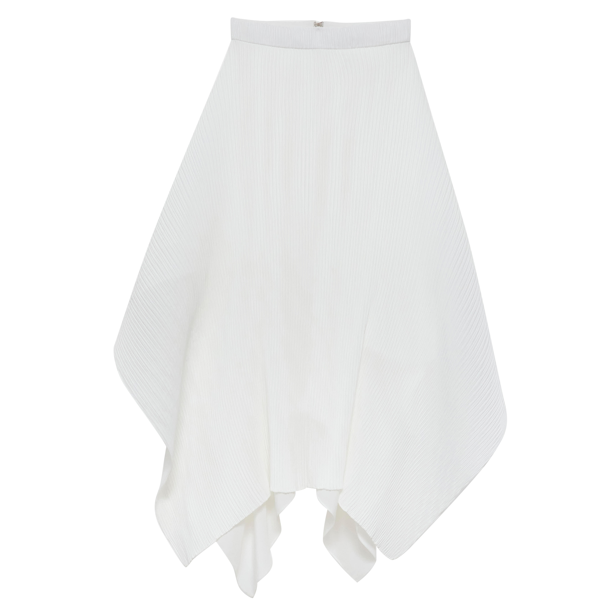 Pleated Skirt