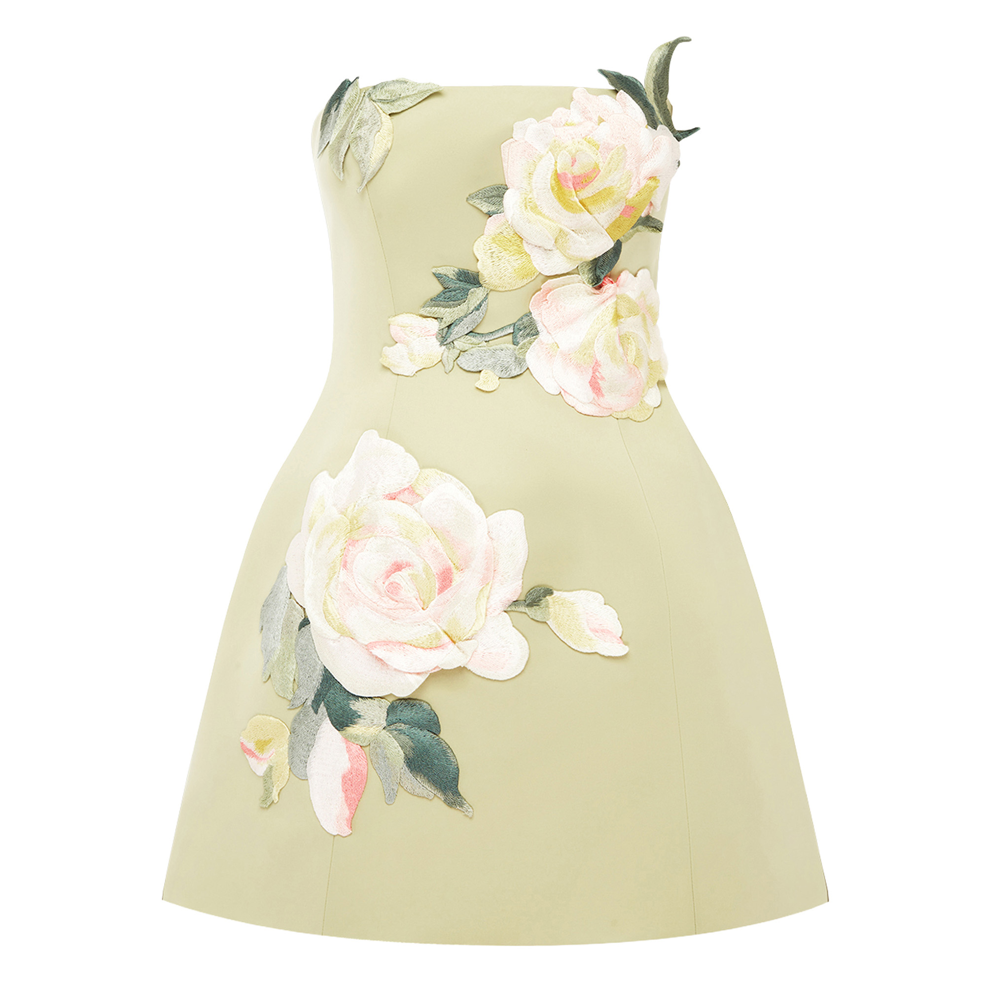 Roselle Embroidered Bustier Mini Dress