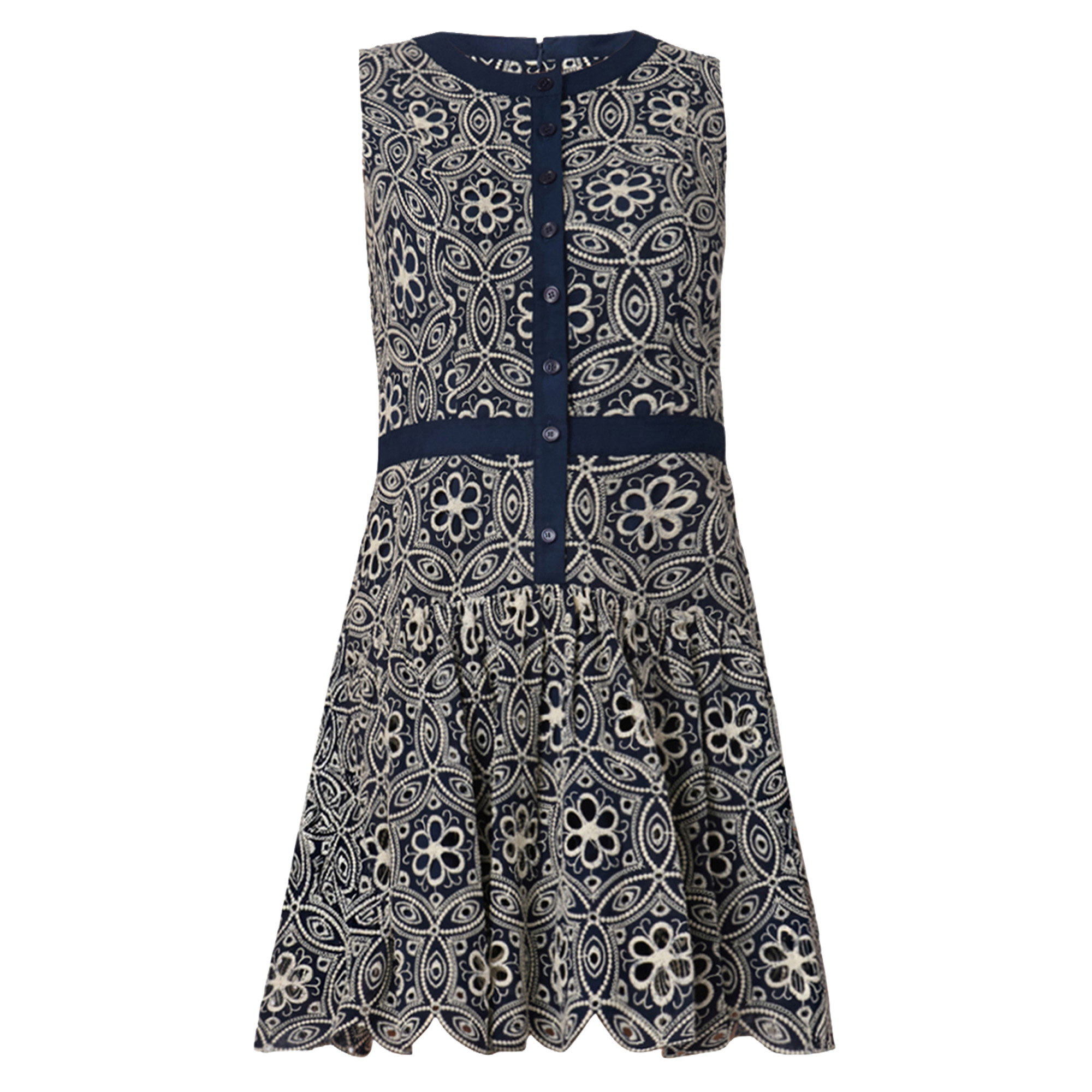 Sierra Sleeveless Embroidered Mini Dress