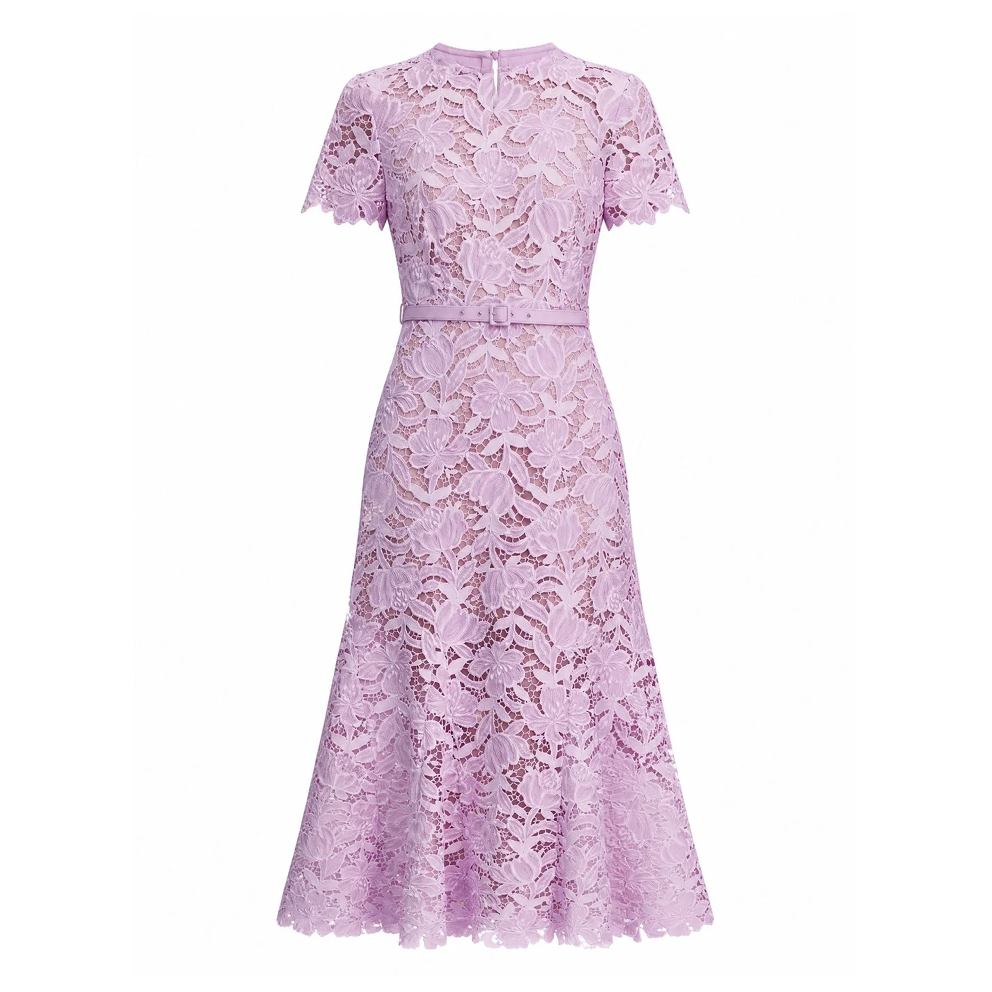 Short Sleeve Belted Lace Midi Dress