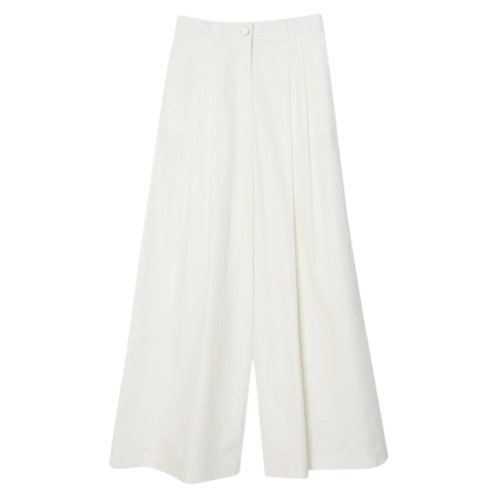 Wide-Leg Pleated Pants