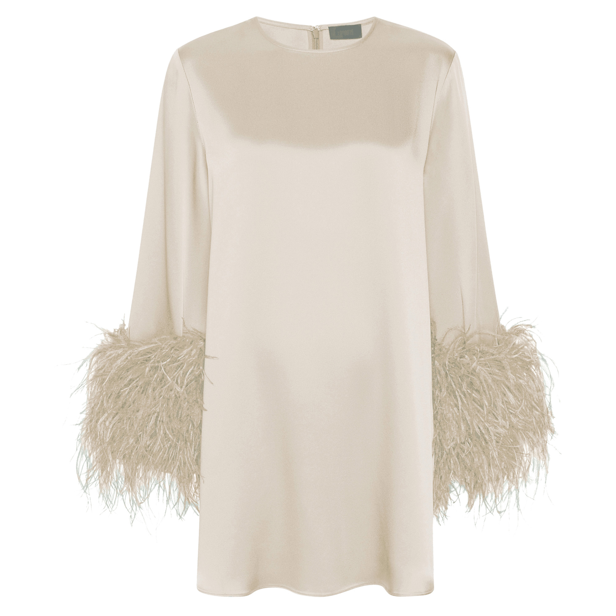 Satin Dress With Feathers