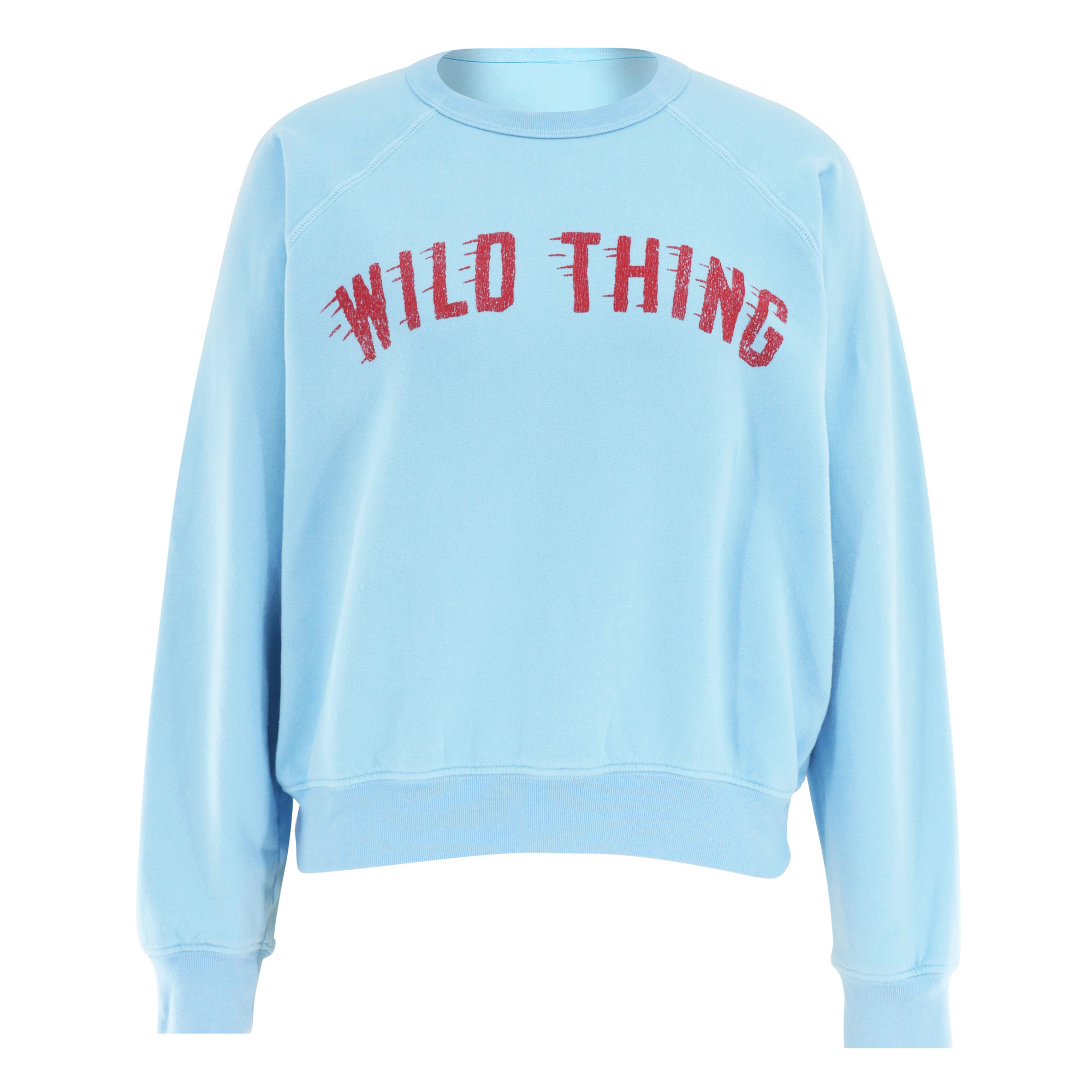 The Concert Sweatshirt
