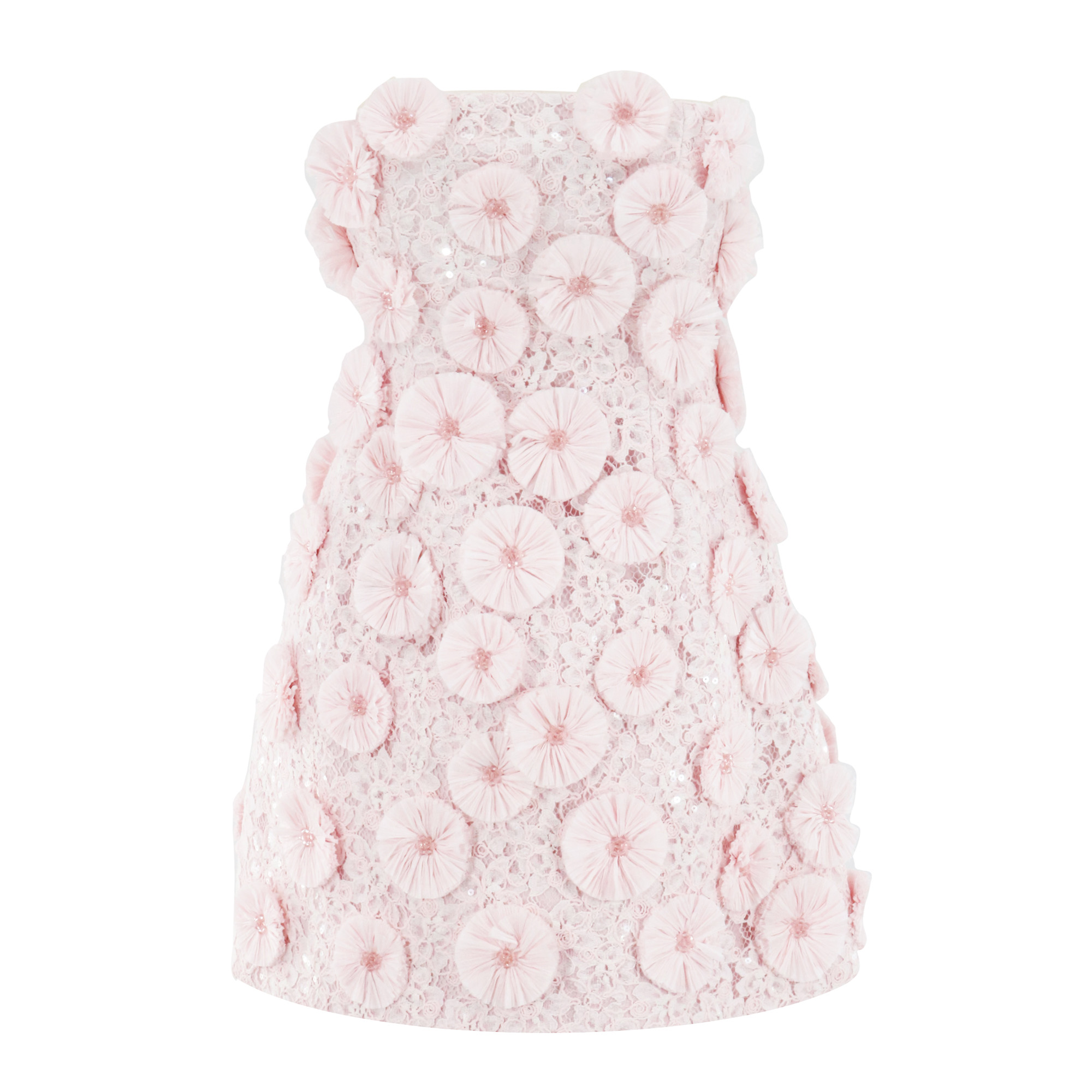 Holland Strapless Floral Raffia Applique Bustier Mini Dress