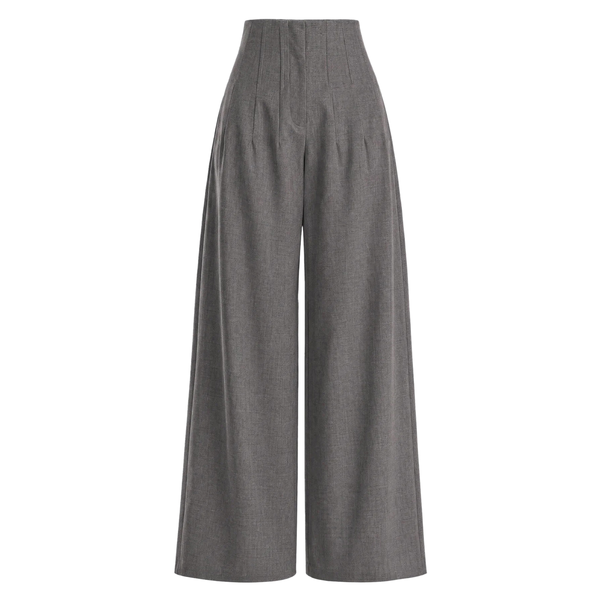 Corset Waist Wide-Leg Pleated Trouser