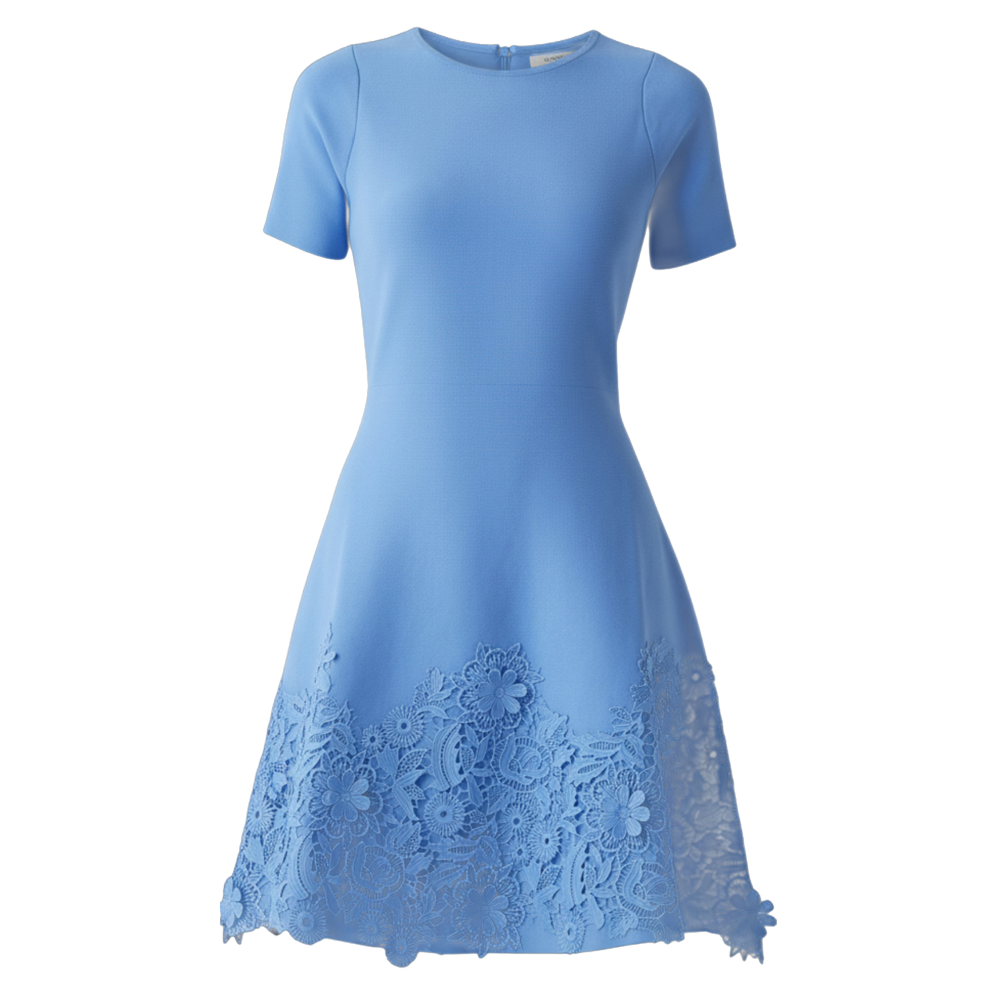 Short Sleeve Floral Applique Mini Dress