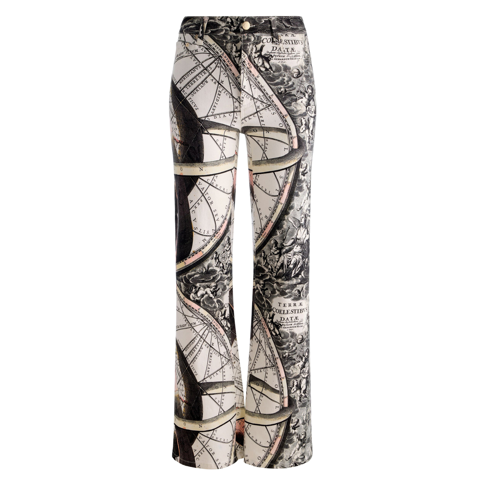 Chic High Rise Printed Wide-Leg Full Length Jean