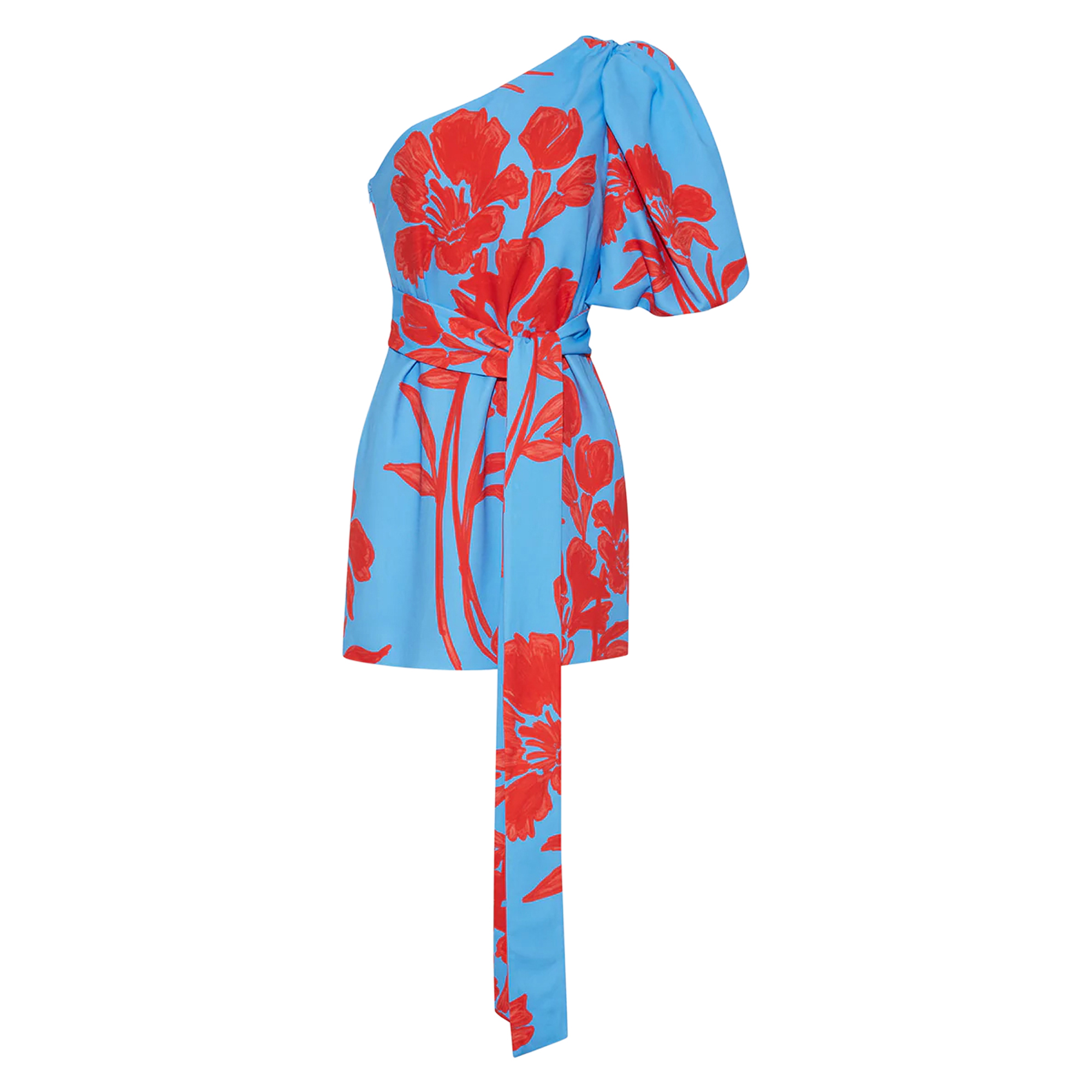 Lucia Mini Dress
