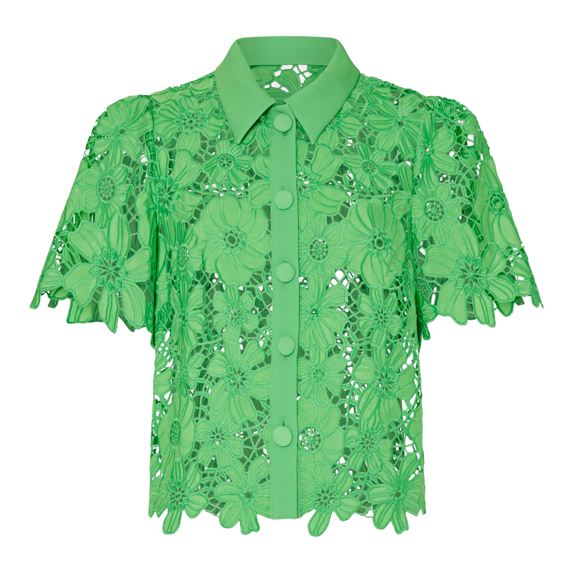 Addison Roja Short Sleeve Lace Top