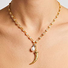 Elizabeth Cole Jewelry Trunk Show
